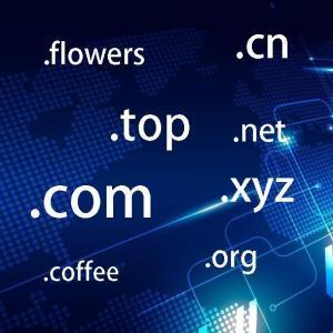拉薩網站建設常見問題之什么是域名？如何購買和選購域名？