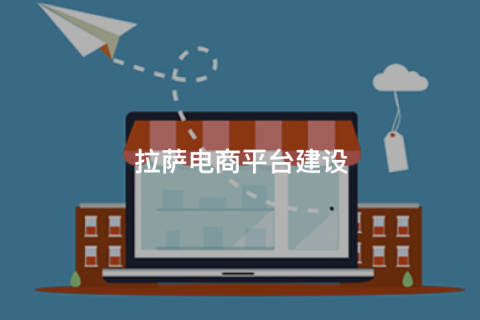 拉薩商城開發怎么做?主流拉薩商城網站搭建方式對比